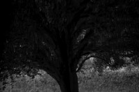 2013-09-30v2-303