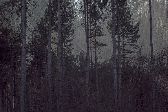 2013-01-17-16-5
