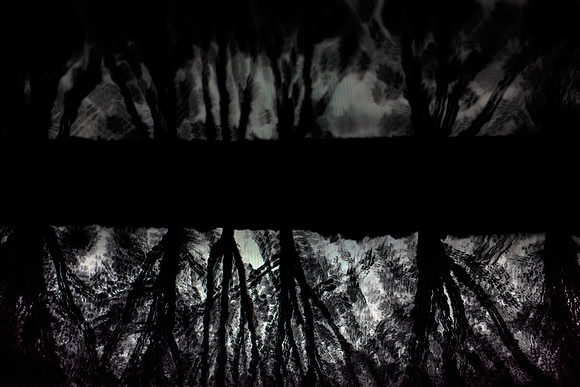 shadows #10