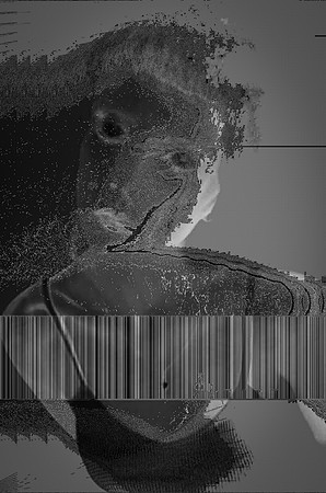52-76