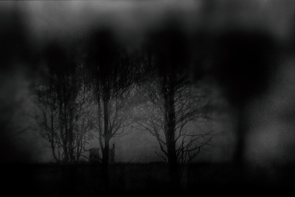 chrisfriel-15