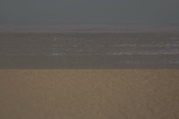 240614 #56