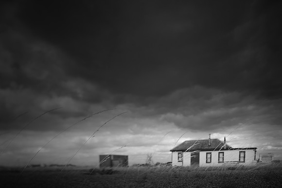 dungeness 4