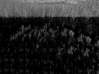091016-1-3