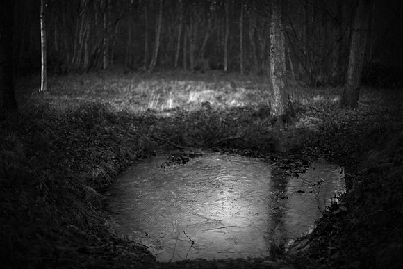 Frozen Pond