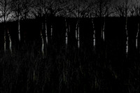 090114-94