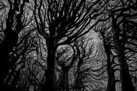 chrisfriel-5