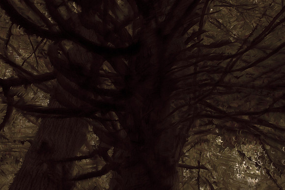 trees #13