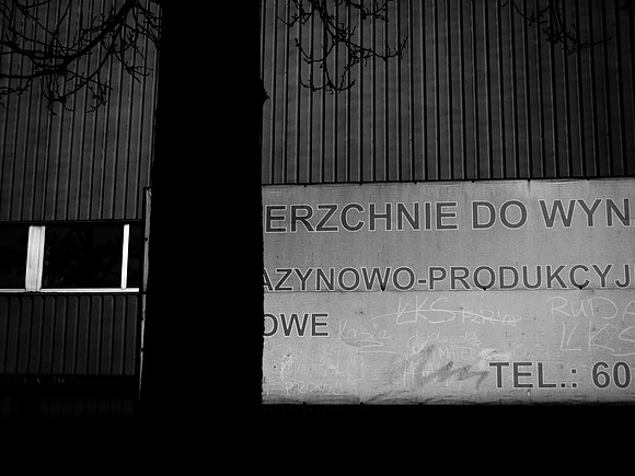 road to lodz #559