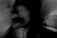 2013-02-26-207-4-2-3-2