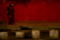 delhi #884