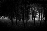2013-09-30v2-152