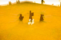 western front #12