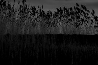 200314 #42