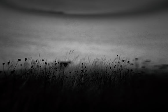 2012-09-20-95-6