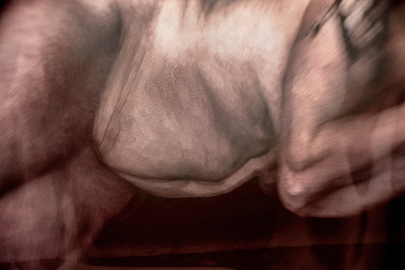 2013-06-24-13-2-3