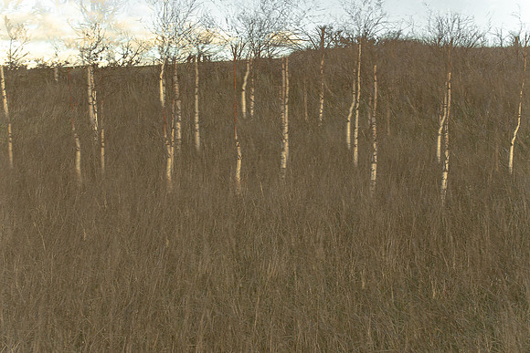 090114-254