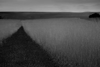 2013-09-17v2-129