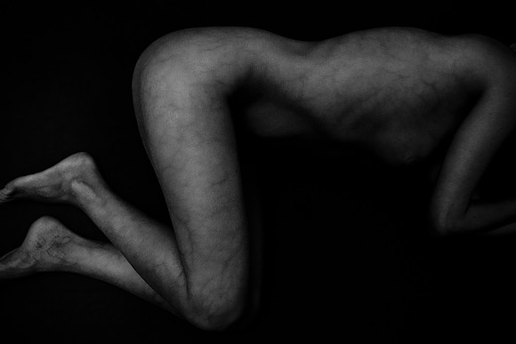 261114 #556