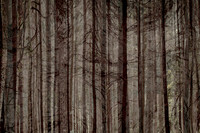 2013-10-03-218-2-3