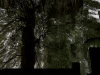 011116-2-4