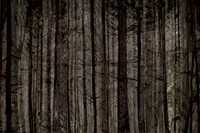 2013-10-03-218-3-5