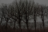 011214 #181