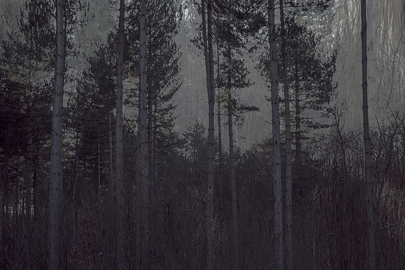 2013-01-17-16-3