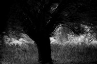 2013-09-30v2-299