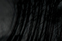 291114 #311-2-4