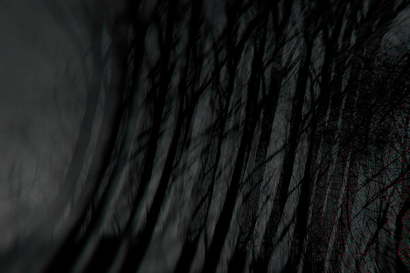 291114 #311-2-4