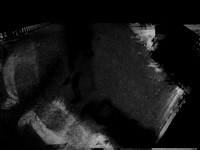 210916-1-4