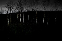 090114-108