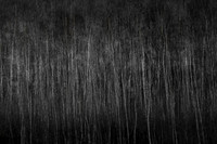 101214-475