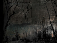 291116-3-6