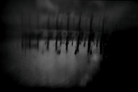 12 july 2010-17-3