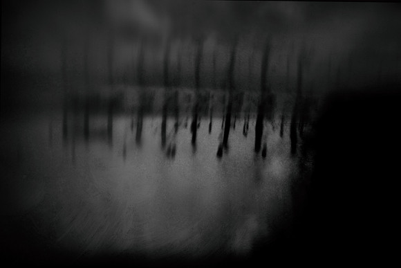 12 july 2010-17-3