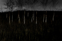 090114-106
