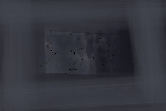 100315#401-3