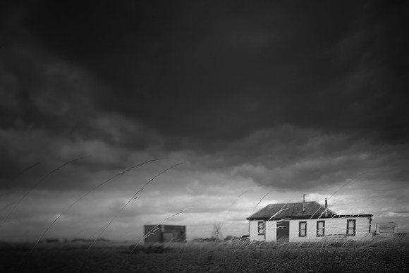 dungeness 4