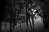 2013-09-30v2-141