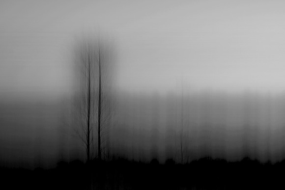 Moonlight 2