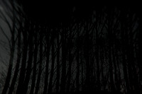 291114 #258-2