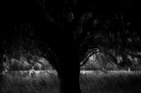 2013-09-30v2-300