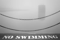 Fog 2