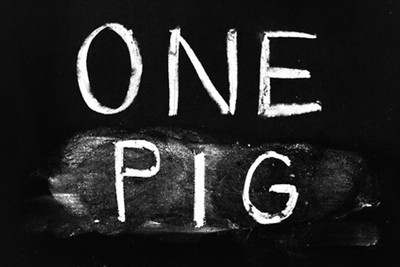 one pig