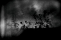 untitled-68-2