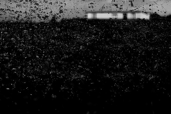 first snow #1