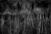 2012-12-27-26-6