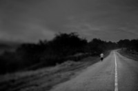 the road to chernobyl 6